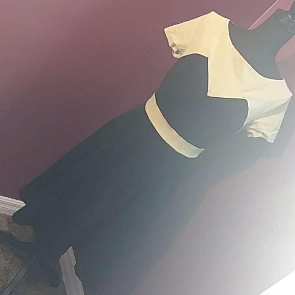 Vintage Style Velvety Dress